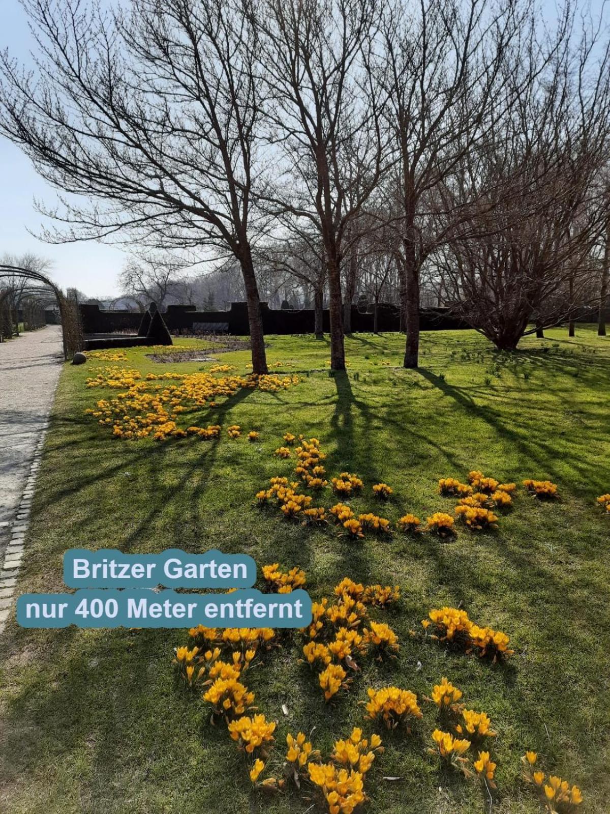 4 Sterne Souterrain Apartment Alt-Mariendorf Берлин Экстерьер фото